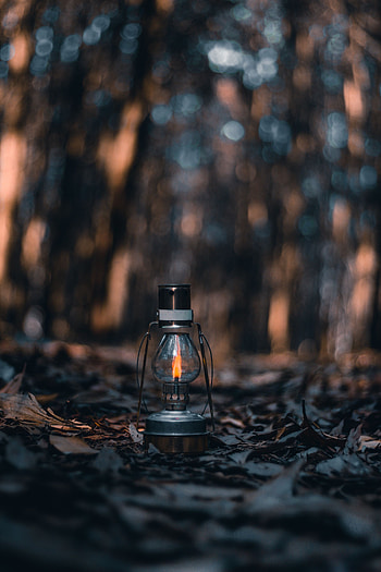 Autumn, Leaves, Fire, Miscellanea, Miscellaneous, Lamp, Lantern, Dry HD phone wallpaper