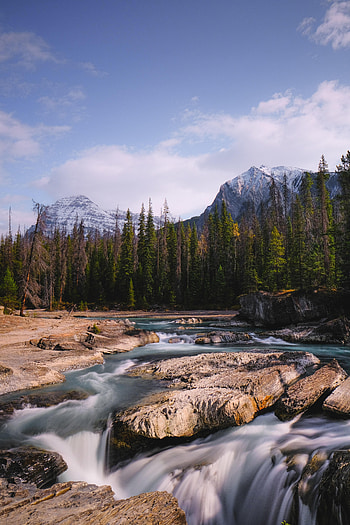 Nature, Trees, Stones, Mountains, Flow, Stream HD phone wallpaper