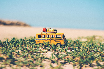 Grass, Cars, Toy, Bus HD wallpaper