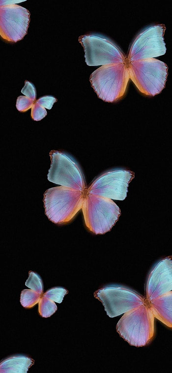 butterflies, trippy, purple HD phone wallpaper