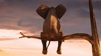 Create Your Own Story, elephant, artist, artwork, digital-art HD wallpaper