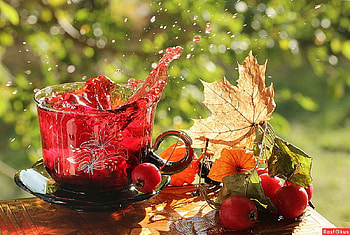 Autumn splash, tea, green, splash, red, autumn, fruit, leaf HD wallpaper