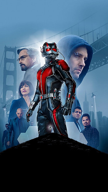 Ant Man, Avnegers, Ant Man Avengers, avengers HD phone wallpaper