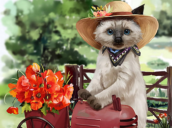 Cat with Hat, cute, Cat, Hat, Art HD wallpaper