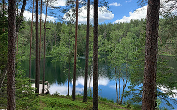 Lake in Latvia, trees, Latvia, nature, lake HD wallpaper