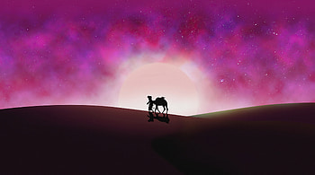 Back To Home, camel, minimalism, artist, artwork, digital-art HD wallpaper