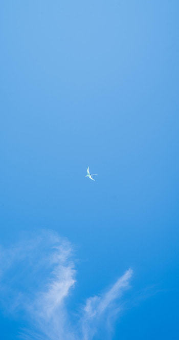 Sky, Minimalism, Flight, Gull, Seagull, Wings HD phone wallpaper