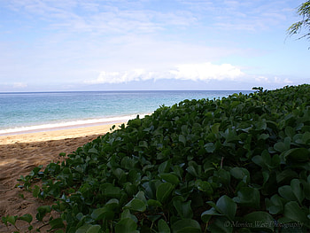 roc sea, not, syok HD wallpaper