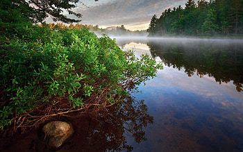 Nature, Water, Bush, Rock, Lake, Forest, Fog, Smooth, Surface, Stone, Silence, Steam HD wallpaper