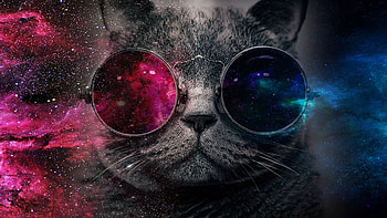 Galaxy cat HD wallpaper