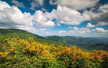 Mountains, landscape, clouds, plants HD wallpaper