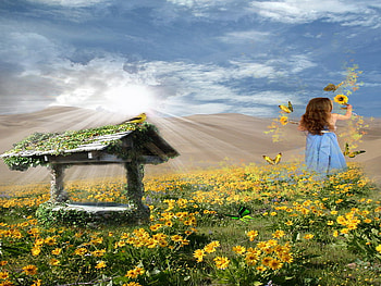 wishing well, field, yellow, flower, girl, well HD wallpaper