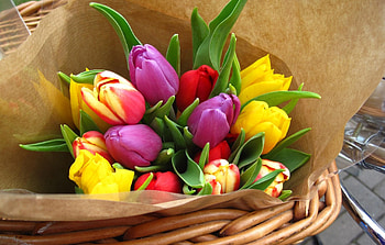 Flowers, Tulips, Bright, Bouquet, Paper HD wallpaper