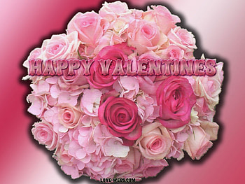 Pink Roses 4 You, valentine, pink, love, pink roses, flowers HD wallpaper