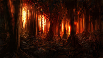 Dark Forest, trees, nature, forest, dark HD wallpaper