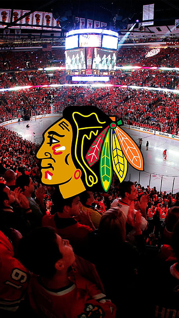 NHL, , Top , Backgrounds HD phone wallpaper
