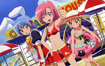 Hayate no Gotoku, summer, anime, nagi, bikini, hinagiku, hayete no gotoku, beach HD wallpaper