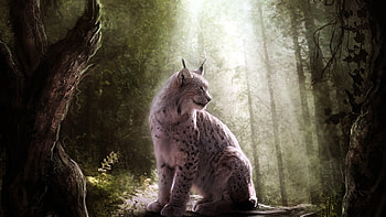 Lynx, animal, cat, art HD wallpaper