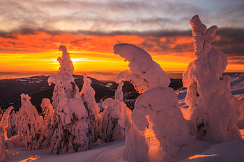Landscape, Winter, Nature, Trees, Sunset, Snow, Snow Covered, Snowbound HD wallpaper