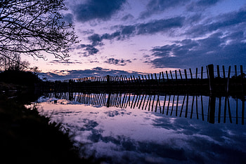 Nature, Rivers, Reflection, Wood, Tree, Fence, Evening HD wallpaper