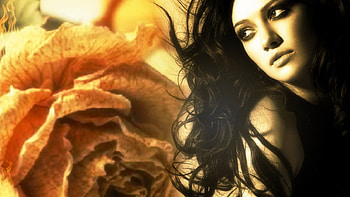 ❀ _ ❃, rose, model, eyes, hair, woman HD wallpaper