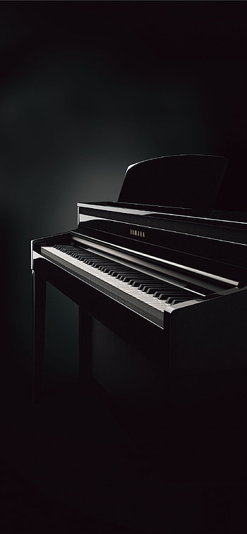 Musical elegance, Soulful melodies, Captivating instrument, Captivating performances HD phone wallpaper