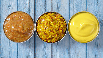 Common types, Mustard use HD wallpaper