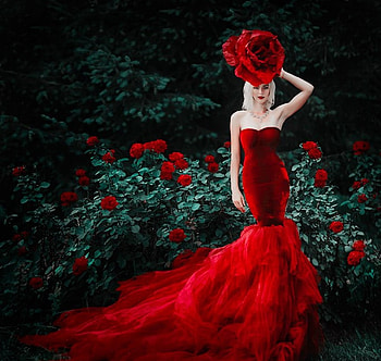 lady, model, graphy, beauty HD wallpaper