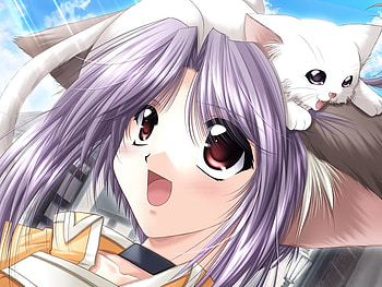 Kitty and Cat, e, c, u, t HD wallpaper