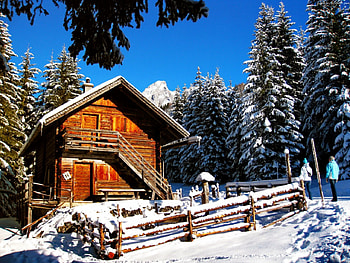 Choosing a rest cottage, winter, relax, nice, snow, trees, couple, chalet, frost, frozen, slope, house, cold, beautiful, people, mountain, cabin, rest, pretty, nature, cottage, lovely, ice HD wallpaper