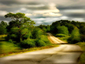 COUNTRY ROAD, path, trees, sky, road, country HD wallpaper