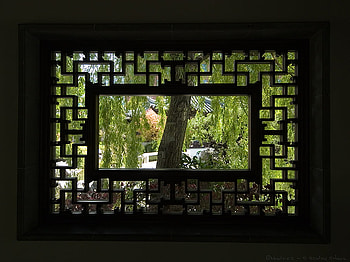 Cool frame, other, people, , tree HD wallpaper