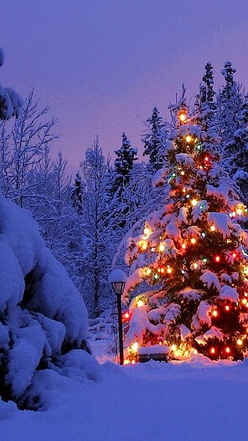 Christmas garland art, Artistic creation, Creative design, Festive theme HD phone wallpaper