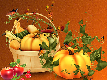 Happy Autumn, Harvest, Basket, Autumn, Pumpkin HD wallpaper