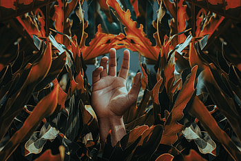 Leaves, Plant, Hand, Miscellanea, Miscellaneous, Palm, Fingers HD wallpaper