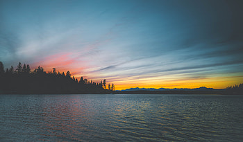 Nature, Trees, Sunset, Sea, Shore, Bank HD wallpaper