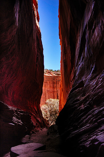 Landscape, Nature, Canyon, Rocks, Gorge HD phone wallpaper