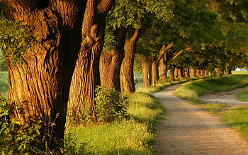 Landscape HD wallpaper