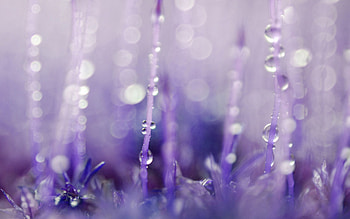 Drops, Macro, Glare, Light, Surface, Light Coloured HD wallpaper