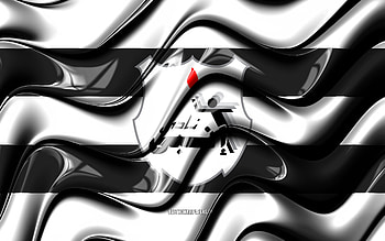 Enppi SC flag, , white and black 3D waves, EPL, egyptian football club, football, Enppi SC logo, Egyptian Premier League, Enppi SC, soccer, Enppi FC HD wallpaper