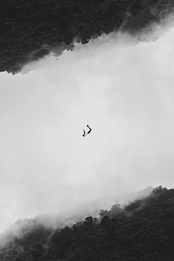 Silhouette, Forest, Minimalism, Flight, Bw, Chb, Bounce, Jump HD phone wallpaper