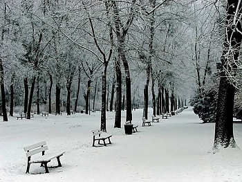 Park Benches, benches, winter, snow, park HD wallpaper