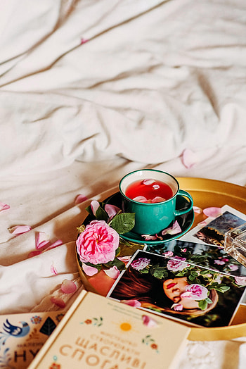Flower, Miscellanea, Miscellaneous, Petals, Cup, Tea, , graphs HD phone wallpaper