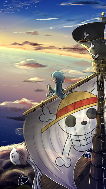 One Piece Voyage: Thousand Sunny & Going Merry Anime, Anime, One Piece HD phone wallpaper