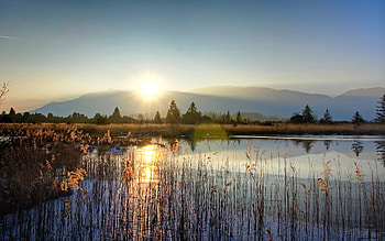 LAKE SUNRISE, rising, morning, plants, sun, lake HD wallpaper