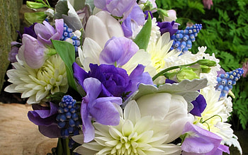 Flowers, Beautiful, Bouquet HD wallpaper