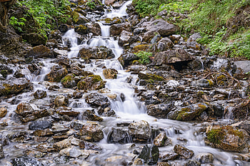 Plants, Nature, Water, Stones, Waterfall, Flow, Stream HD wallpaper