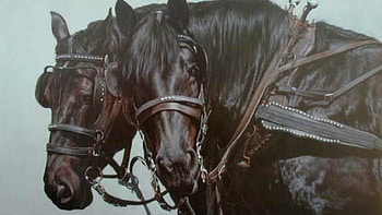 Wagon Horses, black horses, wildlife, pets, nature, stallions HD wallpaper