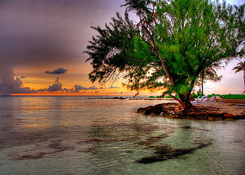 Peaceful sunset, lake, tree, sunset, tranquil HD wallpaper