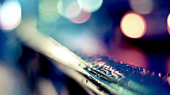 Rain, Lights, Macro, Perilla HD wallpaper